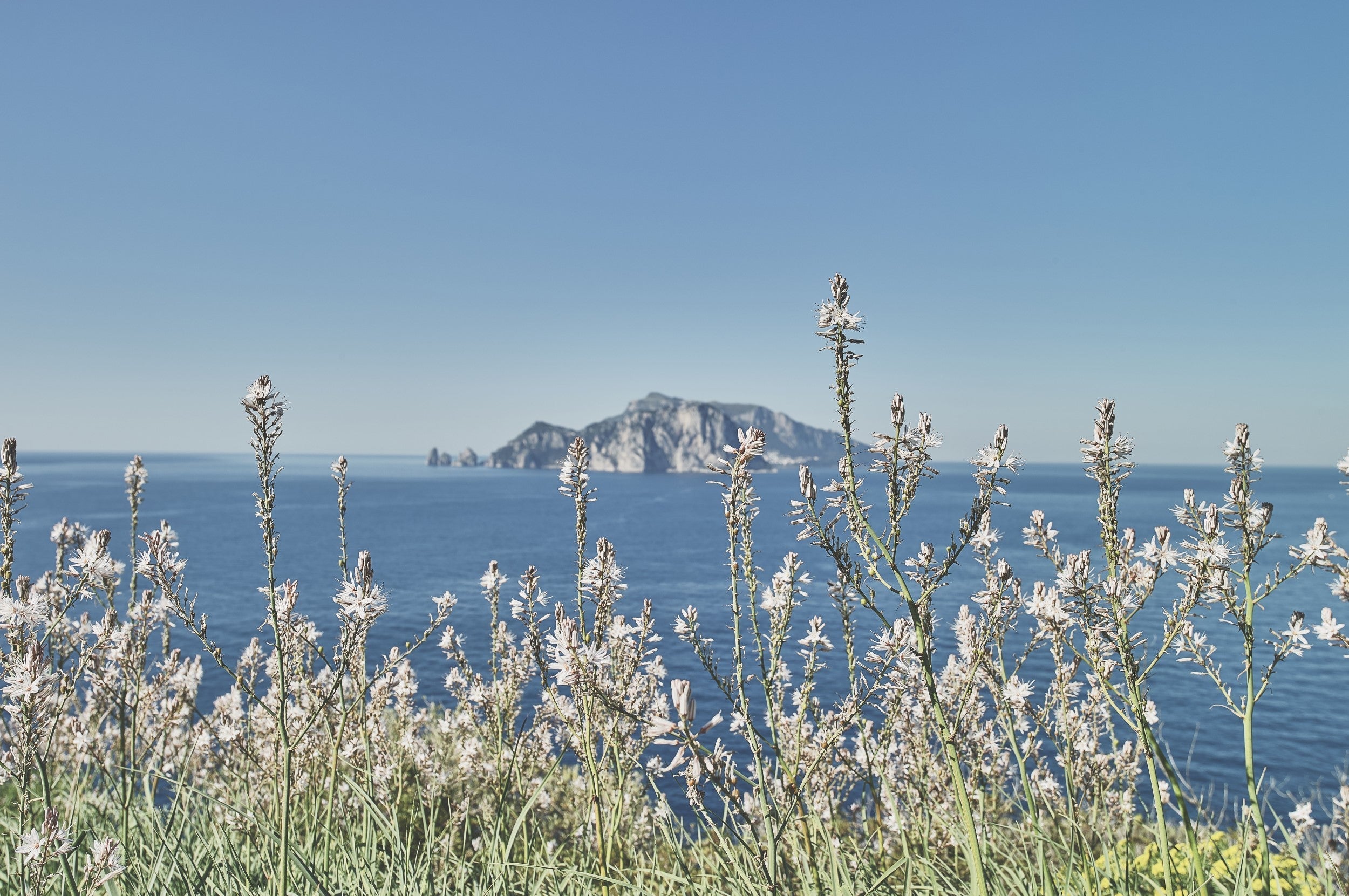 sorrento la terra delle sirene di ulisse